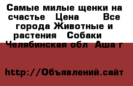 Самые милые щенки на счастье › Цена ­ 1 - Все города Животные и растения » Собаки   . Челябинская обл.,Аша г.